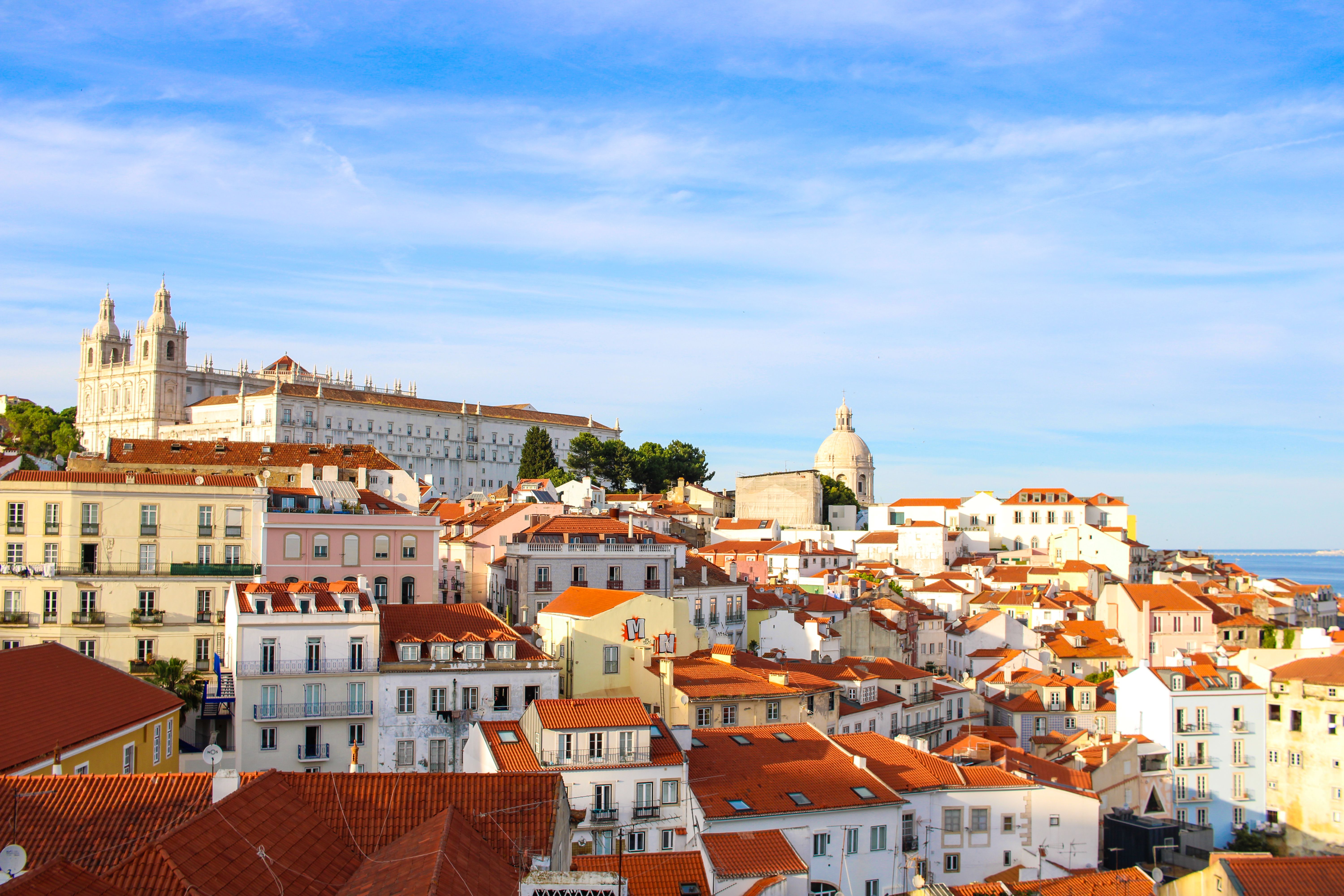 pexels-guilherme-marques-1364342506-26288655.jpg